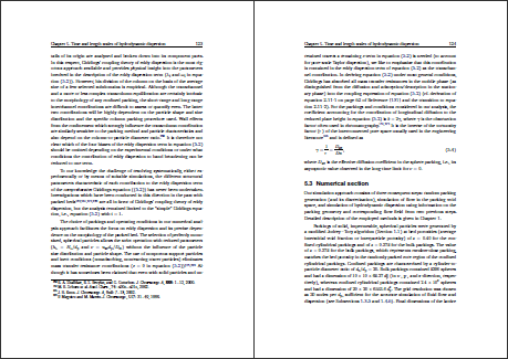 Standard page layout for thesis sentence